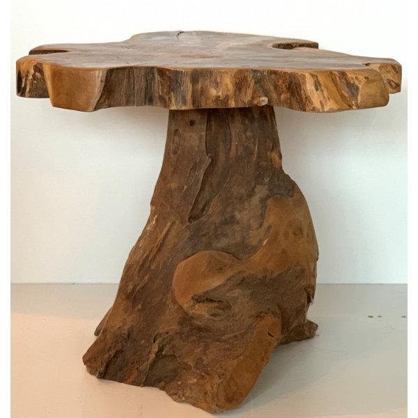 Union Rustic Asaro Solid Wood Tree Stump End Table & Reviews Wayfair.ca